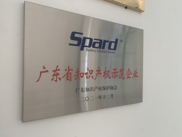 午夜精品在线观看网站新能源榮獲2021年度廣東省知識產權示範企業