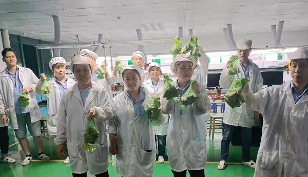 午夜精品在线观看网站新能源鋰午夜成人福利电影廠家,向鋰電芯生產線發放端午福利